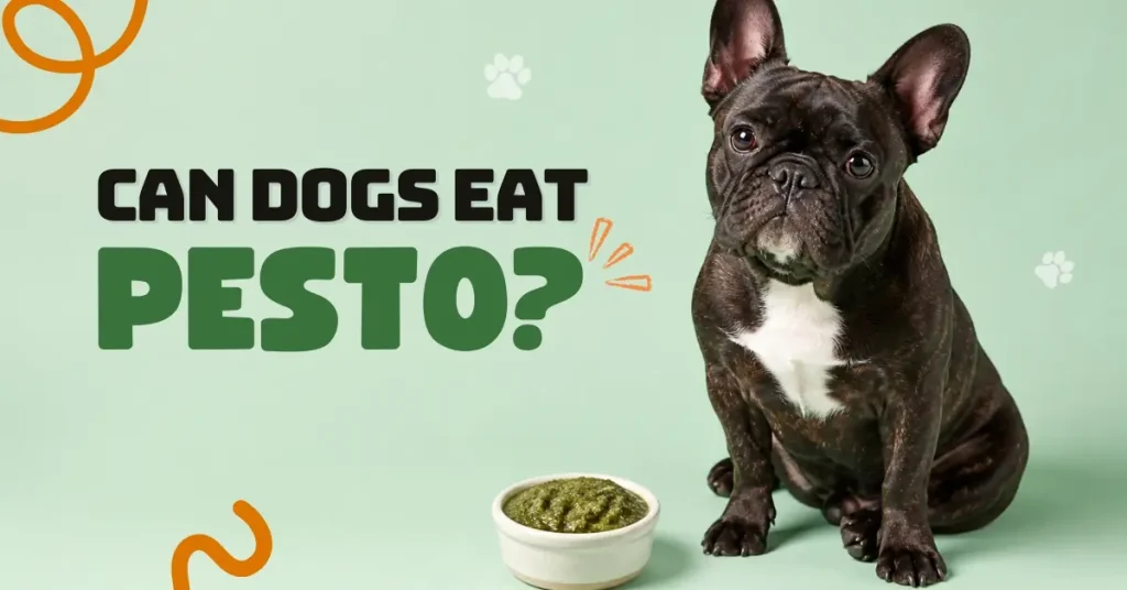 A French Bulldog sits beside a small bowl of green pesto sauce, with the text 'Can Dogs Eat Pesto?'