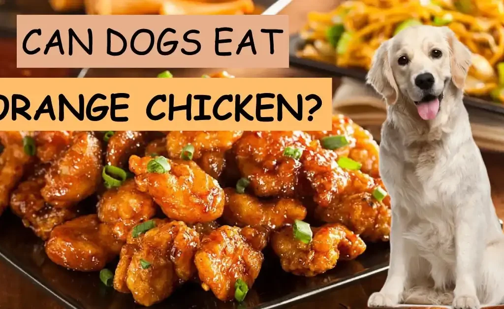 can dogs eat orange chicken