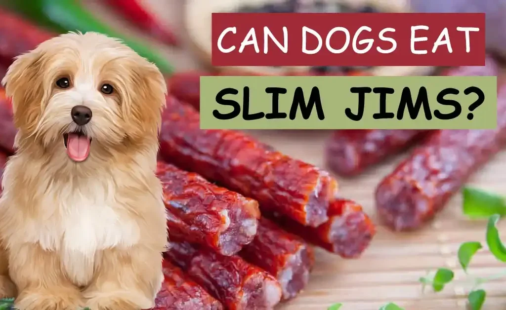 can dogs eat slim jims