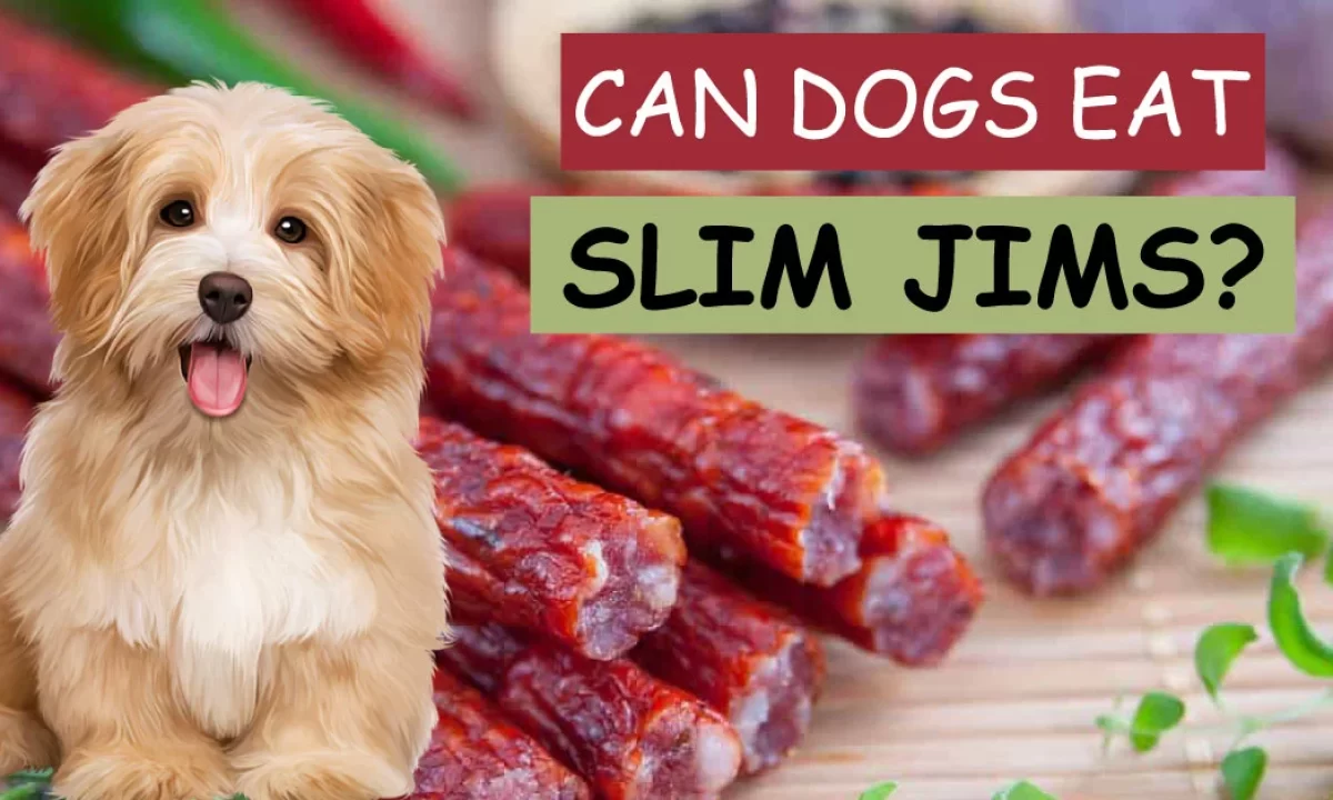 can a alaskan husky eat slim jim