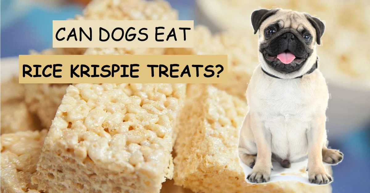 can dogs eat rice krispie treats