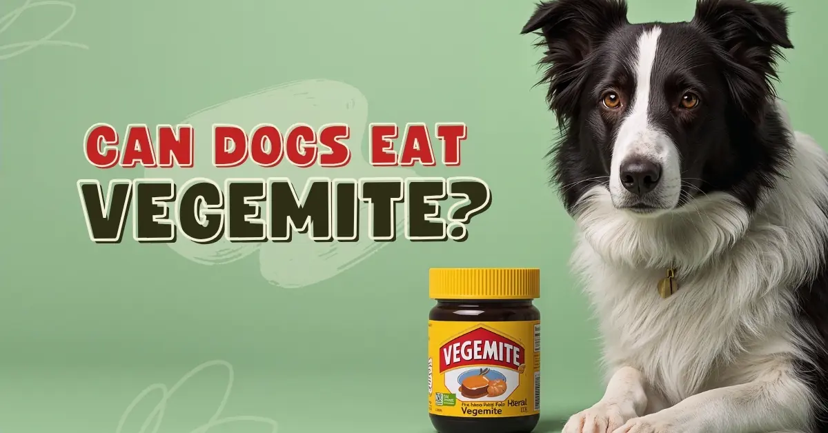 Can Dogs Eat Vegemite? Uncovering the Truth!