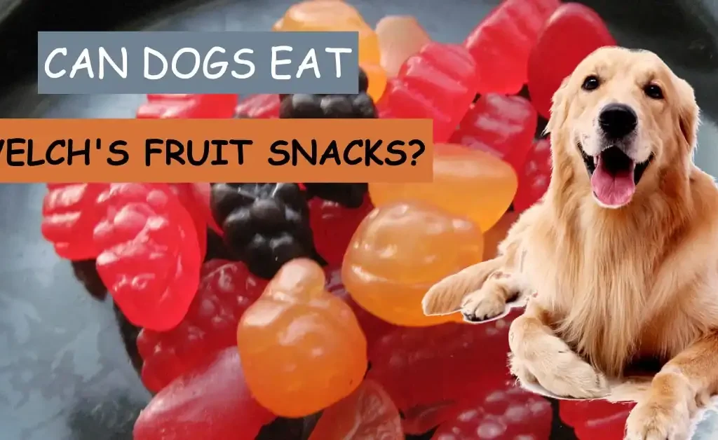 can dogs eat welch’s fruit snacks