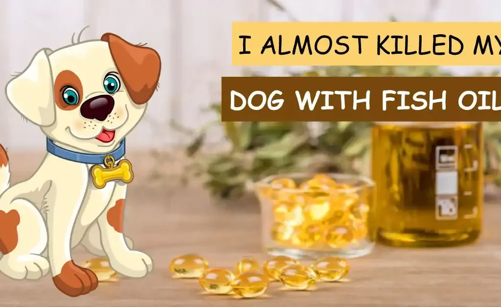 I Almost Killed My Dog With Fish Oil