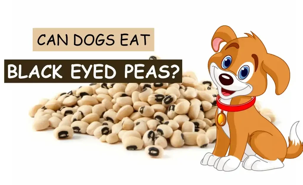 Can Dogs Eat Black Eyed Peas