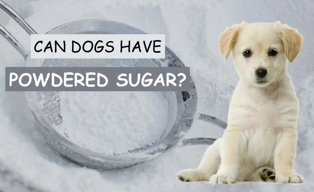 can dogs have powdered sugar