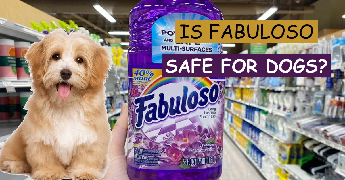 is fabuloso safe for dogs