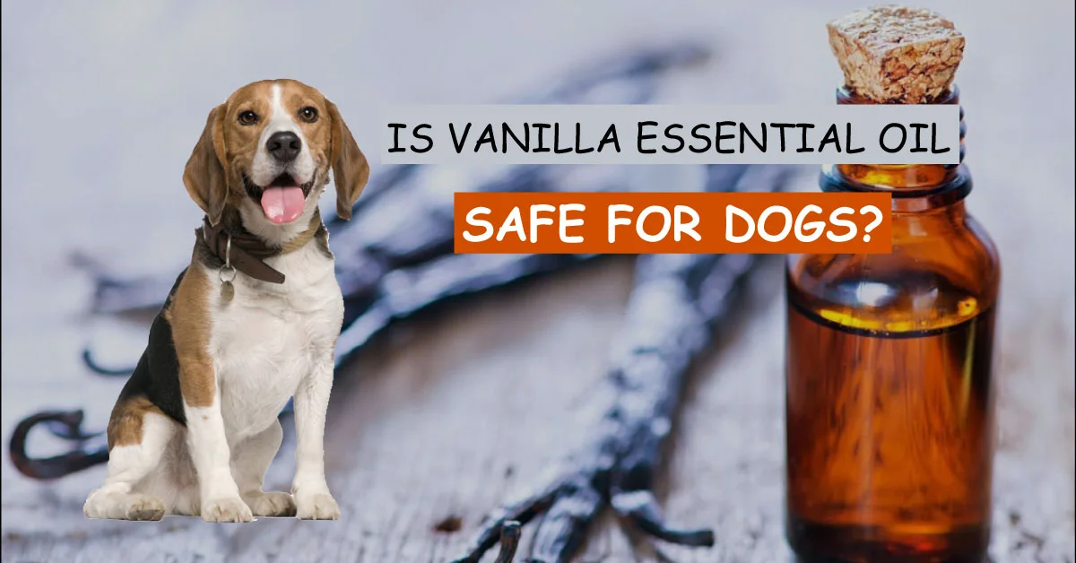 is vanilla essential oil safe for dogs