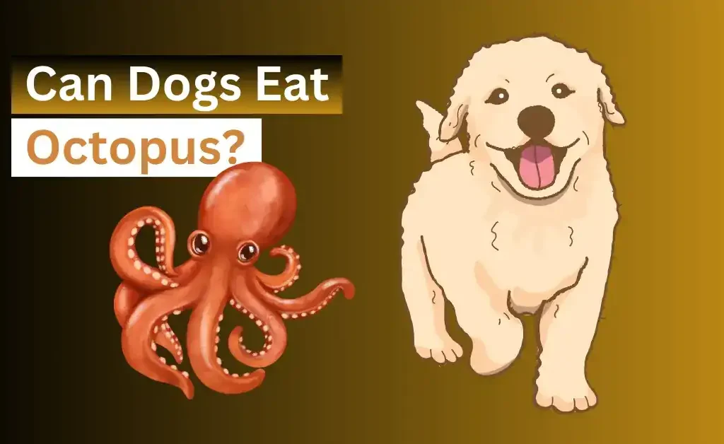 Can Dogs Eat Octopus