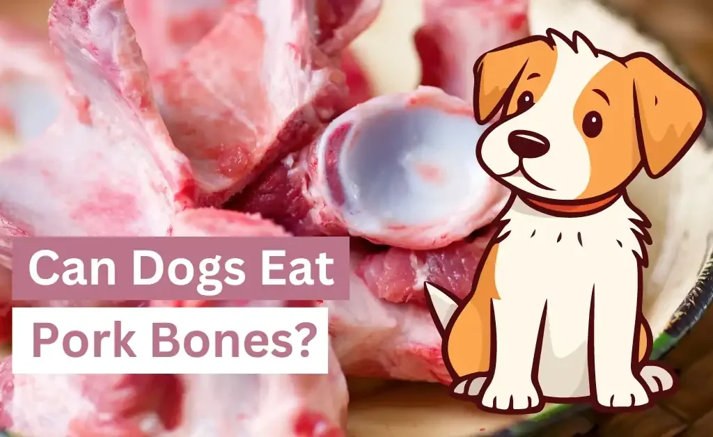 Can Dogs Eat Pork Bones