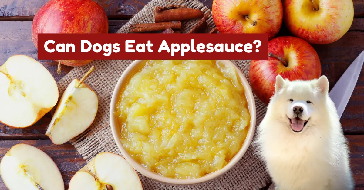 can dogs eat applesauce