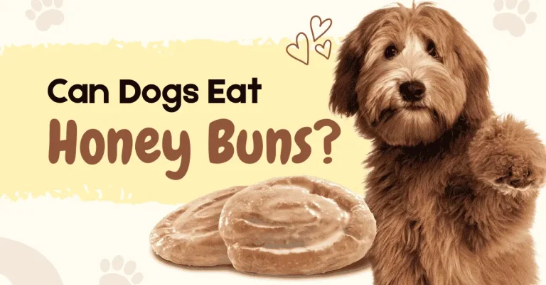 a fluffy brown dog beside two glazed honey buns