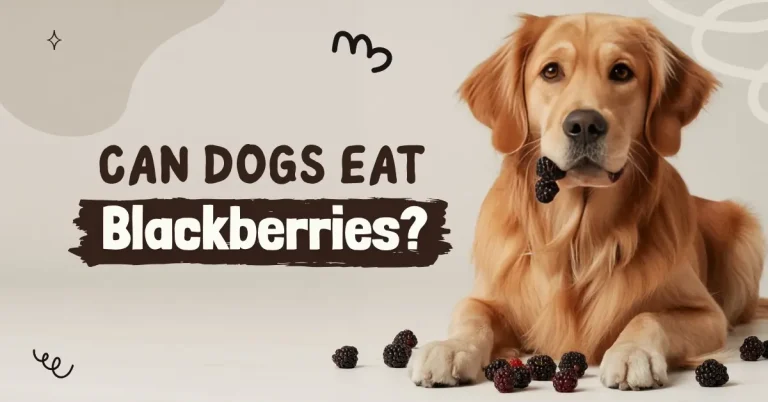 A golden retriever lies beside a pile of blackberries, with text asking "Can Dogs Eat Blackberries?"
