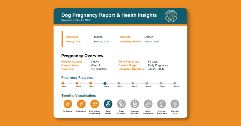 Dog Pregnancy Calculator