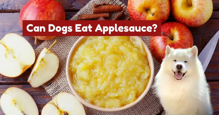 can dogs eat applesauce