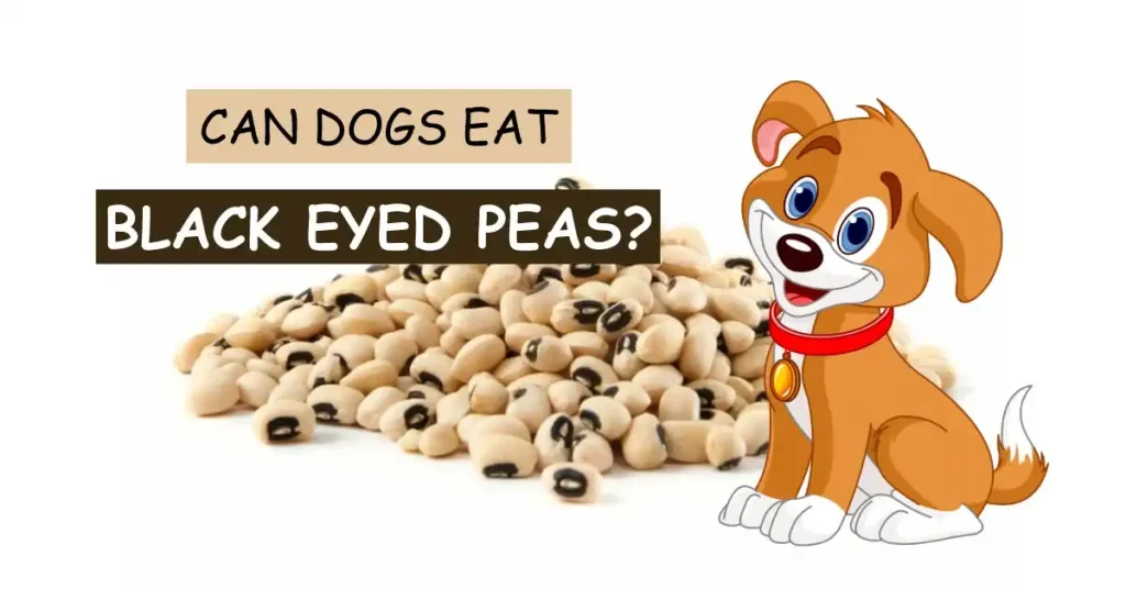 Can Dogs Eat Black Eyed Peas