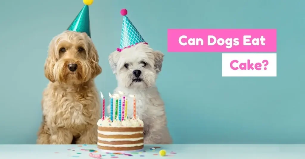 Two small, fluffy dogs wearing party hats sit behind a small, layered birthday cake with lit candles and confetti on a light blue