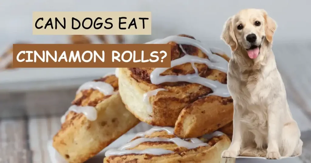 can dogs eat cinnamon rolls