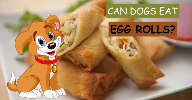 can dogs eat tahini