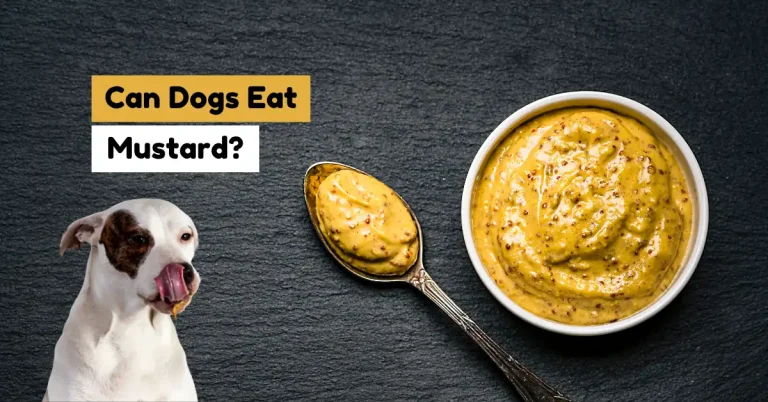 can dogs eat mustard