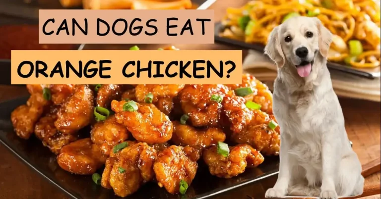 can dogs eat orange chicken