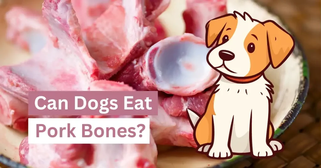 Can Dogs Eat Pork Bones
