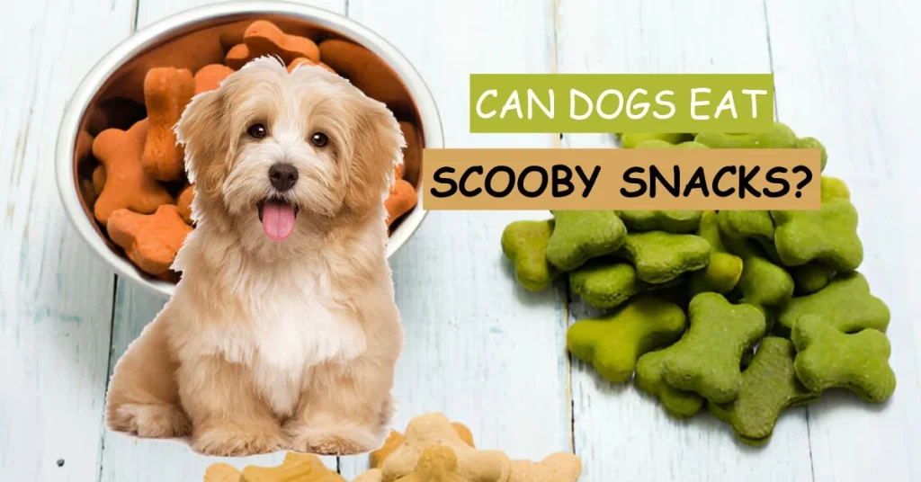 can dogs eat scooby snacks