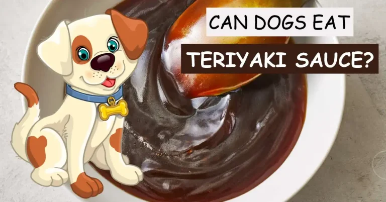 can dogs eat teriyaki sauce