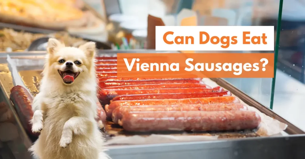 can my dog eat vienna sausages