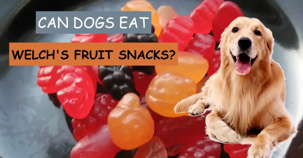can dogs eat welch’s fruit snacks