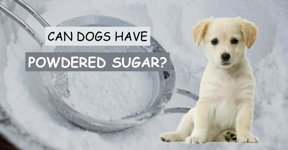 Can Dogs Have Powdered Sugar