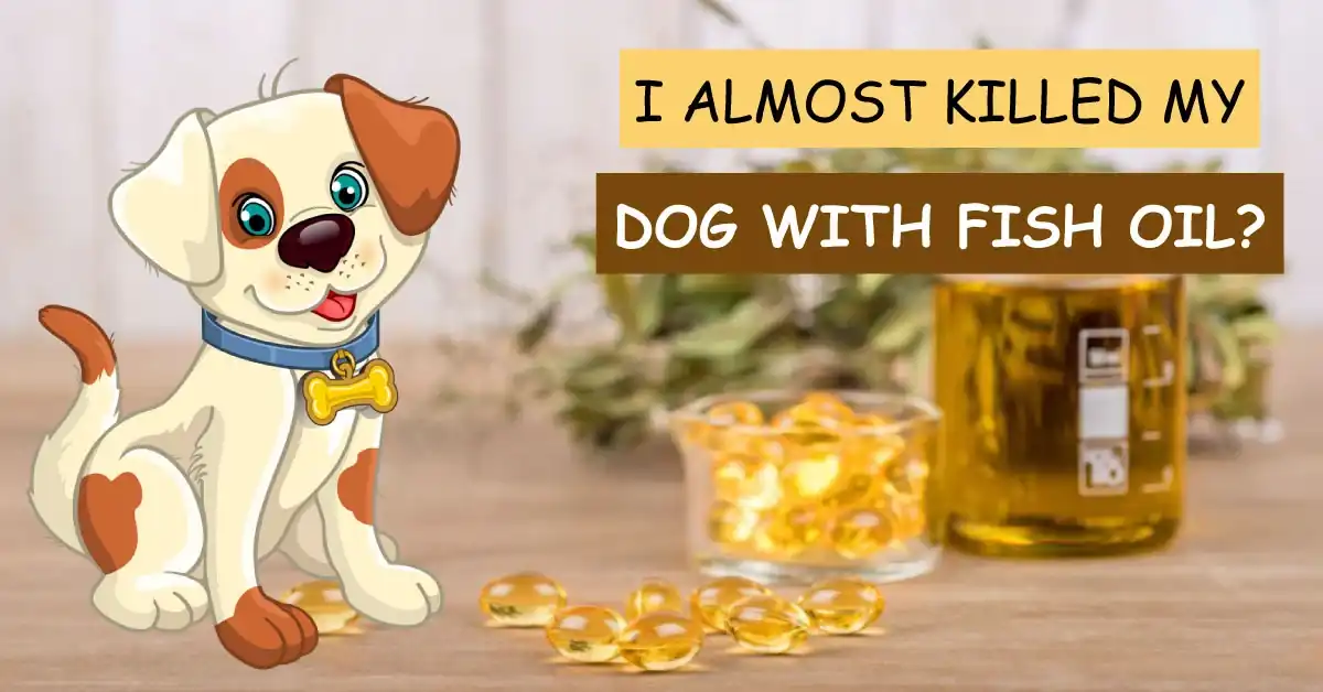 I Almost Killed My Dog With Fish Oil