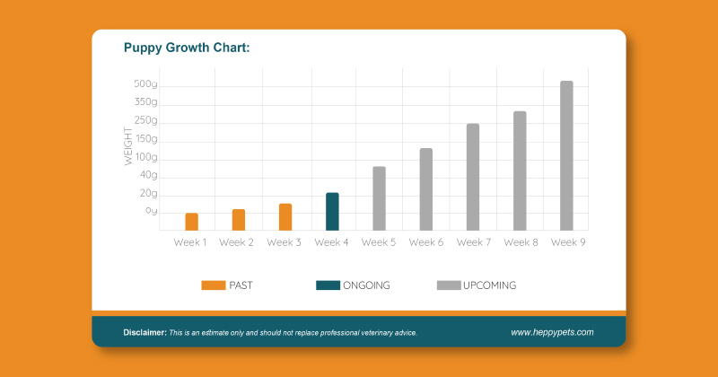 whelping date calculator